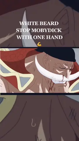 ONEPIECE | Mobydick brakes😂