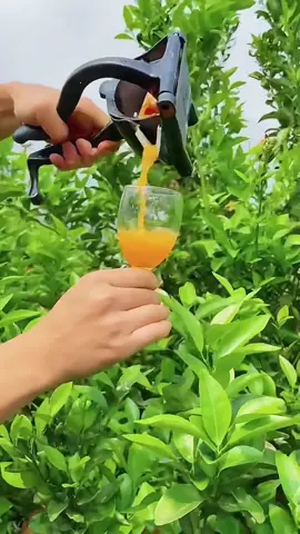 Omg 😱 so juicy 🍊😋#usa #asmr #fruit