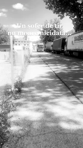 #soferieboalagrea😊#soferdetir🚛👍🏼#muncitipentruviselevoastre♥️fy♥️ #mercedesbenz#trucks#goarneee🎺 #camioane #firme#românia🇷🇴 #fy #fyp #foyou #5pasidebine #misiuneatiktok #pridetogether