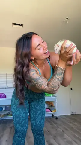 Oreo wants to kiss you😘 #hedgehog