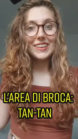 #tantan #areadibroca #leborgne #broca #neurolinguistica #neuroanatomia #linguistica #scienzelinguistiche