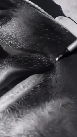 the Tombow Mono zero eraser 💯 #realism #Hyperrealism #fyp