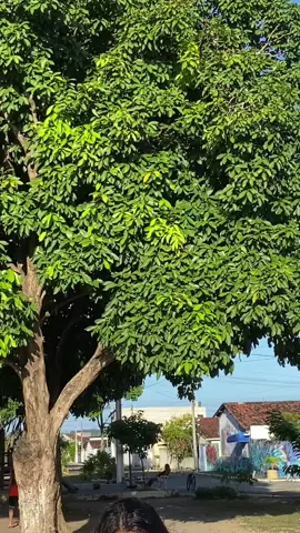 Tentei😝 DC:@Amanda Araújo