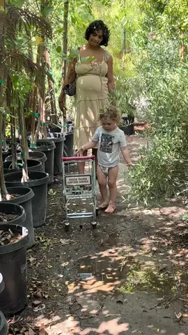 @taylorgiavasis ✂️😅