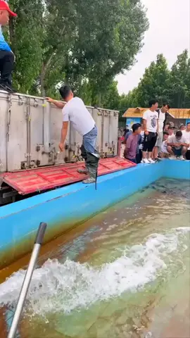 Fantastic 🤩 #amazing #incredible #videos