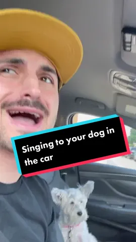 Is singing to your dog in the car a normal thing? #fyp #dog