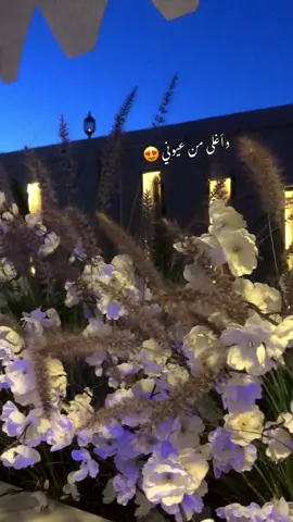 #غالي_علي_غالي #😍#تصويري#تصميمي#❤️ #white_farm #lana_qassas #explore #viral #viral #🔥