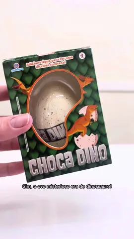 E o ovo misterioso era o ovo Choca Dino da @polibrinq Segue aí para não perder nenhuma atualização do nosso ovo de dinossauro 🦕 🦖#dinossauro #ovodedinossauro #brinquedo #unboxing #misterioso #ovo #chocadino #fy #fyp #foryou #foryoupage