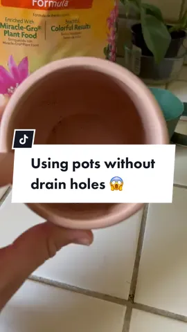 Something I wish I had learned when I started collecting…   #plants #plantsoftiktok #plantmom #plant #plantcollection #plantmom #plantlife #plantlover #plantlove #plantsmakepeoplehappy #plantcommunity #plantas #plantlady #plantgang #plantaddict #planttiktok ##PlantTok@Joanna 🪴