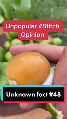 #stitch with @miamifruit this deluxe is all cap