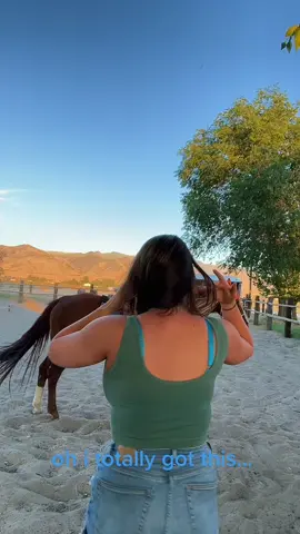 #stitch with @thehorsecenter