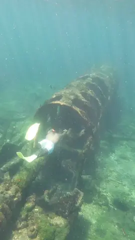 Snorkeling no Naufrágio 🐢