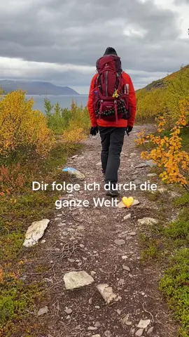 Bester Reisepartner ❤️ #travelcouple #reisen #wandern #norwegen