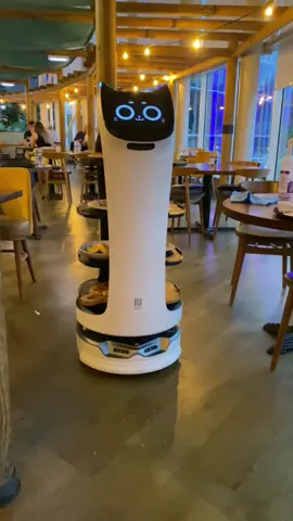 The Bellabot robot waiter at Belle Italia #robot #robotwaiter #centerparcs #whinfellforest #centerparcswhinfell #bostondynamics #pizza