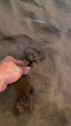 watch ya step