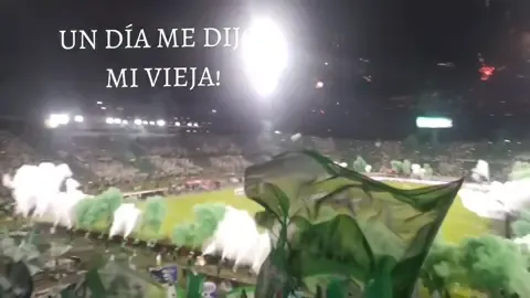LA VIDA POR ESTOS COLORES!🇳🇬💚#atleticonacional #parati