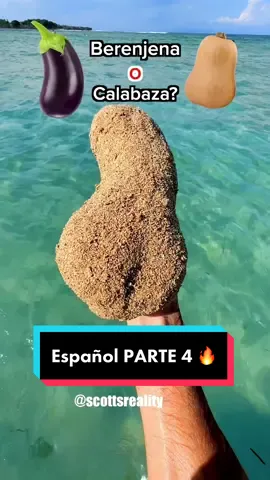 Te reto a adivinarlos todos 😂 Voy a subir Parte 5 en español mañana ;) #playa #vacaciones #oceano