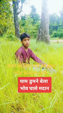 मेरो जिदकि को मेलखाने,,, ,@anjalipaudel38 @loverboyattitudeking