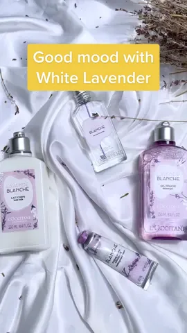 Adakah rangkaian body care routine yang bisa membangkitkan mood dengan keharuman lembut yang menenangkan? White Lavender jawabannya! Yuk simak untuk temukan detail tekstur dan manfaat dari rangkaian terbaru L'Occitane!  #WhiteLavender #LOccitaneID #fyp #fypindonesia