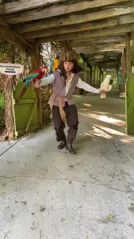 Is it Tarzan? #parrotmountain #tarzan #fortnite #fortnitecharacter #fyp #foryou #foryoupage #fortnitemoves #birdman #FilmTeyvatIslands