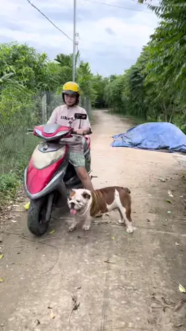 Ngày nào cũng vậyyyy. Khôg có là 5 đứa thấy thiếu thiếu 😌
