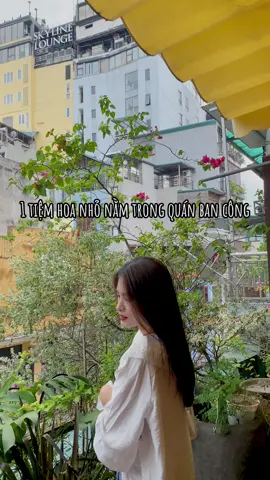 📍Mira Florist & Garden - tiệm hoa nhỏ xinh giữa lòng phố cổ #emsocday #emsocvlog #bancongcafe #miraflorist