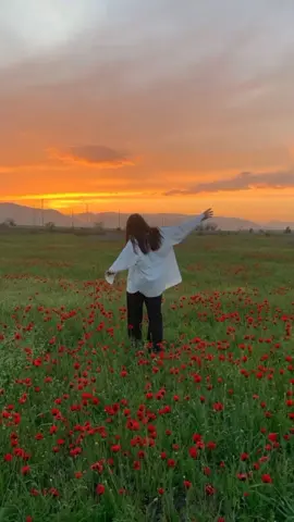 🌈✨ #wearetheb #dreamhight2 #ostkdrama #lyrics #fyp #fypシ #moodbooster #foryoupage #xyzbca #FilmTeyvatIslands