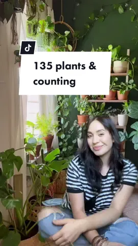 Growth 😉🫶🌿 #greenscreenvideo #greenscreen   #plants #plantsoftiktok #plantmom #plant #plantcollection #plantmom #plantlife #plantlover #plantlove #plantsmakepeoplehappy #plantcommunity #plantas #plantlady #plantgang #plantaddict #planttiktok #PlantTok