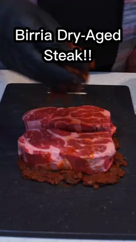 Birria Dry-Aged Steak Experiment! #birria #steak #dryaged #dryagedsteak #steaktiktok #steaktok #steakexperiment #foodhack #steakrecipe #foodexperinent #fyp #foryou #cookwithme #bbqtiktok #viralfood #gugafoods #viralrecipe #dryagedbeef #experiment