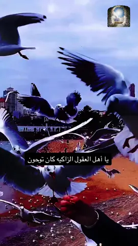 #يا_أهل_العقول_الزاكيه_كان_توحون #قصيد_عن_الموت#الشيخ_راجح_العجمي_رحمه_الله #اللهم_أحسن_عاقبتنا_في_الأمور_كلها #اللهم_احسن_خاتمتنا_جميعا😥🤲 #سبحانك_ربي_ماأعظمك #رحمتك_وسعت_كل_شي_واحنا_لاشى_ياالله #يوم_الرحيل_عن_الدنيا #اللهم_نسألك_رضاك_والجنة