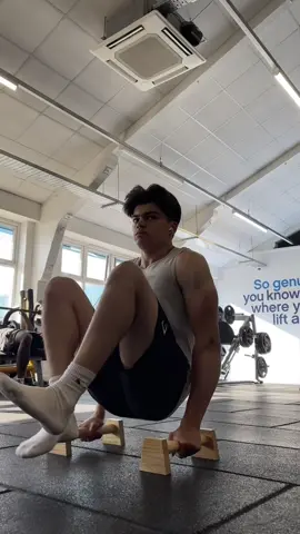 Not a bad start using these wooden parallettes #calisthenics #fyp #foryou #GymTok #gym #fitnessmotivation #motivation #POV