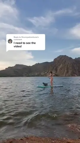 Replying to @fitcurvyadventures it still takes some practice to get comfortable standing on your #paddleboard but here's how I teach it 😊