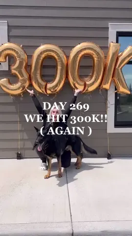 In honor of gaining all you amazing souls again, i thought i’d repost the first time we hit this number on my old acc ( which im not getting back 🥲 ). Thank you all immenslyy for following along ( and trying to get my other acc back ) supporting us in however which way you can, and coming back to our journey. Its been a long one and it hasn’t been easy, but it’s been easier with you.  we’re so happy to have you along. Back on the road to 600K!! Xoxo #homeless #homelessandhumble #dayinthelife #dogsoftiktok