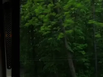 Tìm về một chốn yên bình #fyp #fypシ #viral #challenge #lyrics