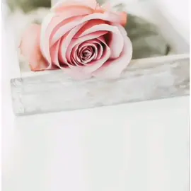 سلامتك يازوجتي#زوجتي_الغالية #جسيم #سلامات