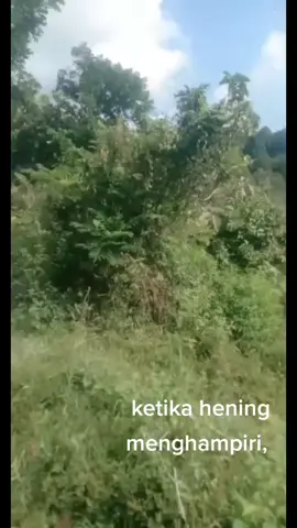 😔😔😔😔dan akan brusaha sekuat munkin. krna ak yakin klo aku gk sndiri, aku masih punya allah yg slu menyakinkanku untuk mnjadi yg lbih baik dri sblumnya. #flksyaguys🥰biarrame🥰 #pelitfyp