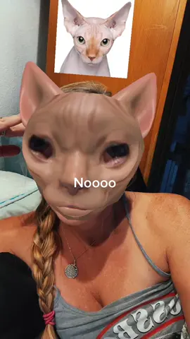 #singingtexttospeech #catsoftiktok #ShowUrGrillSkillz #sleepy