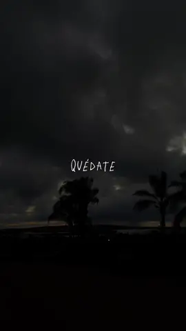 Quédate, que las noches sin ti duelen.       #bizarrap #quevedo #quedate #amor #letras #foryou #viral