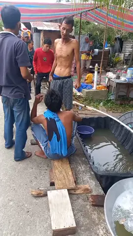 bruclee vs barry prima