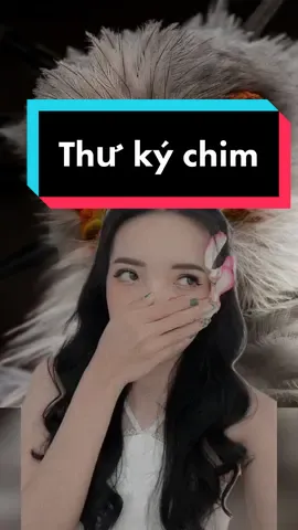 Đẹp quá #hangdibien #LearnOnTikTok #vulaci #happieheng #hoccungtiktok