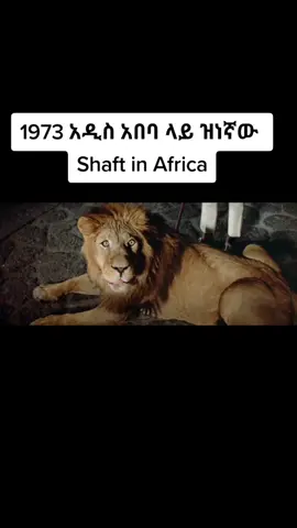 #1973 #አዲስ_አበባ #shaft_in_Africa _in_Africa #biniam_hirut