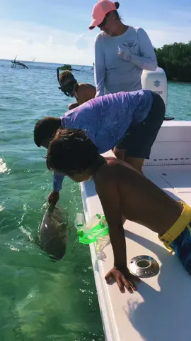 tw:blood …..Play stupid games, win stupid prizes  #floridakeys #sharkattack #lemonshark #sandbar #sharkfishing #takemystronghand @breeder1459