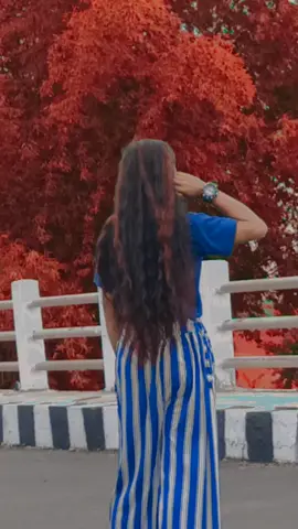 #hera sir sir re hawa ma timro man lekhi sake xu man ko dada ra pakha ma#foryou #kanchanpurmuser #🤟🤟🤟🖖🖖🖖✌️✌️🥰🥰🥰🥰 #@itsmearchana6 #@subashching47