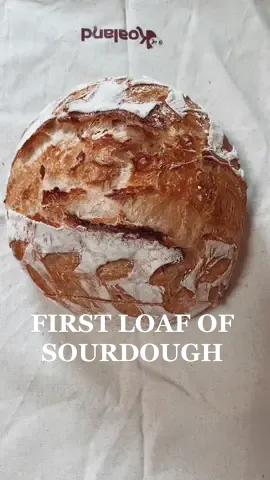 Replying to @glitteral highly recommend trying! #MomsofTikTok #sourdough