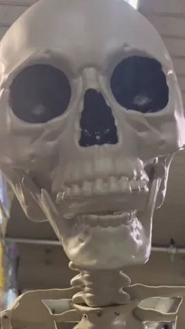Yes… we have the Giant Skeleton 🤫 #chicago #costume #cosplay #homedepot #skeleton #sketch #comedy #cosplay #funny