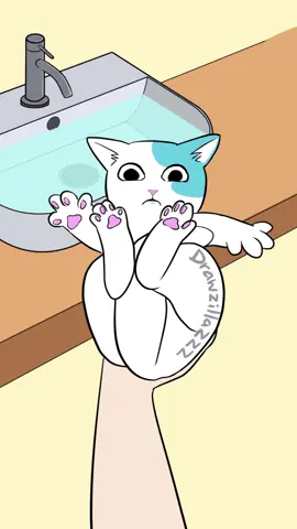 LET ME TELL YOU SOMETHING #catbath #letmetellyousomething #animatedcats #fyp