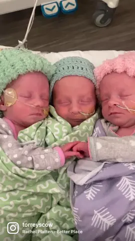 We had the absolute best nurses in the nicu! I’m sure it was a pain to let me hold all 3, but they let me almost every day ❤️ Little boy would always calm right down and smile being squished between his 2 sisters. #triplets #nicu #nicugraduate #babies #newborn #ivf #ivfsuccess #ivfjourney #nicujourney #betterplace #blessed ##Love#sweetbabies #tripletmom #identicaltwins #tripletpregnancy #niculife #tripletsoftiktok