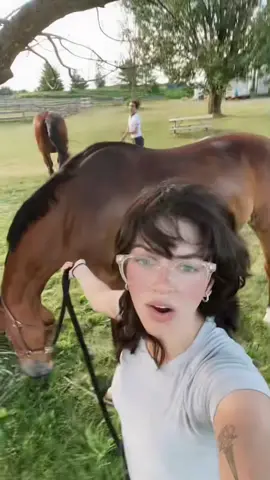 @_kevinmaciel ur gay🌈, me too🤠 #lgbt #equestrian
