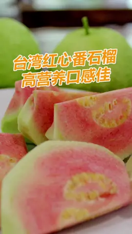 台湾红心番石榴 高营养口感佳。#台湾  #芭乐  #红心芭乐  #番石榴  #水果  #PinkGuava  #Guava  #fruits  #taiwan  #malaysia #TikTok新闻 #tiktokmalaysia