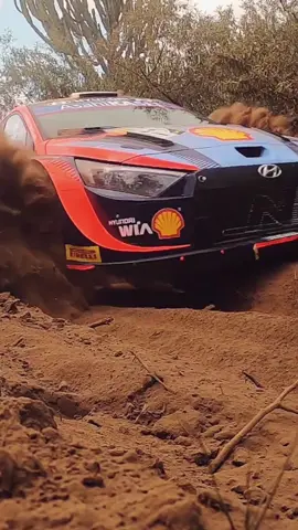 How many gopros survived Rally Kenya? #sport #rally #kenya #gopro #Motorsport #trending